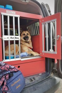 Jesse wartet auf seinen Fl&auml;chensuchen-Einsatz