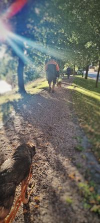 Rentner Walk - Dorfrunde in W&uuml;lfershausen