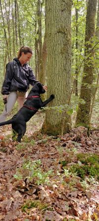 Welpen Walk an der alten Eiche in Aubstadt